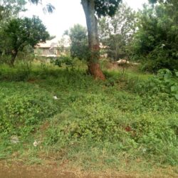 VACANT PLOT IN THINDIGUA, ¾ ACRE KIAMBU ROAD
